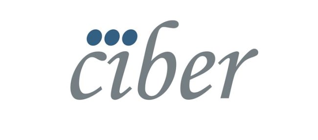 logo_ciber
