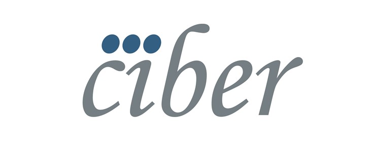 logo_ciber